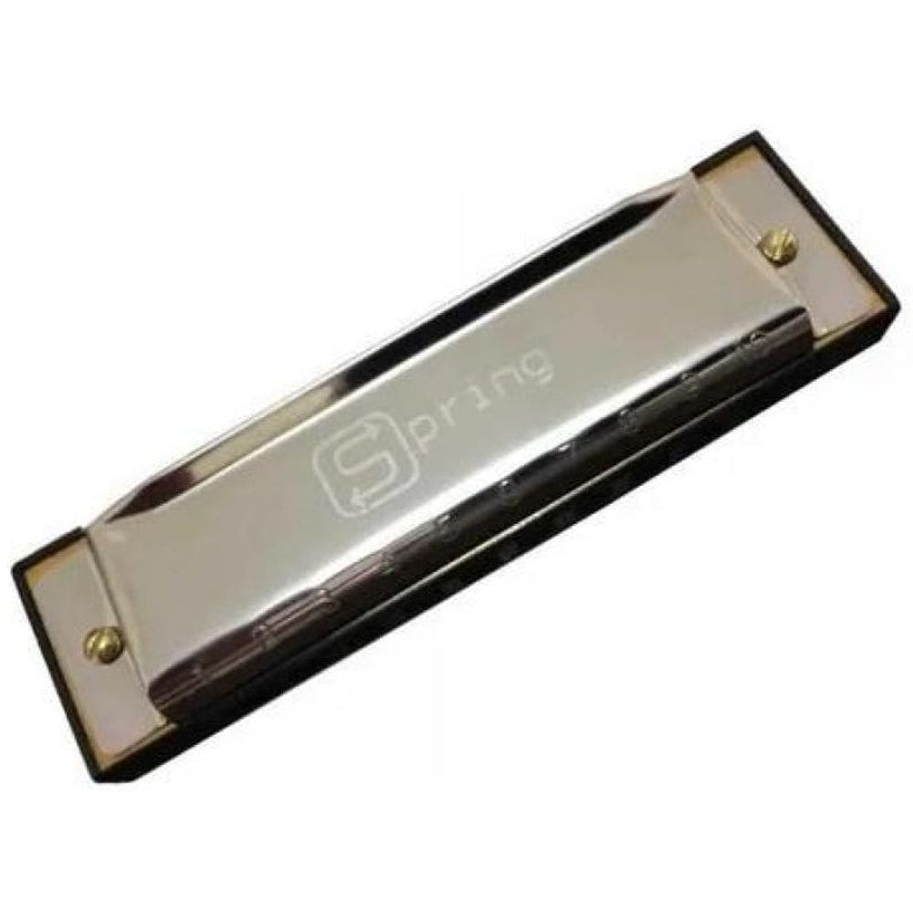 Gaita Harmônica Blues Spring Diatônica G  Sol