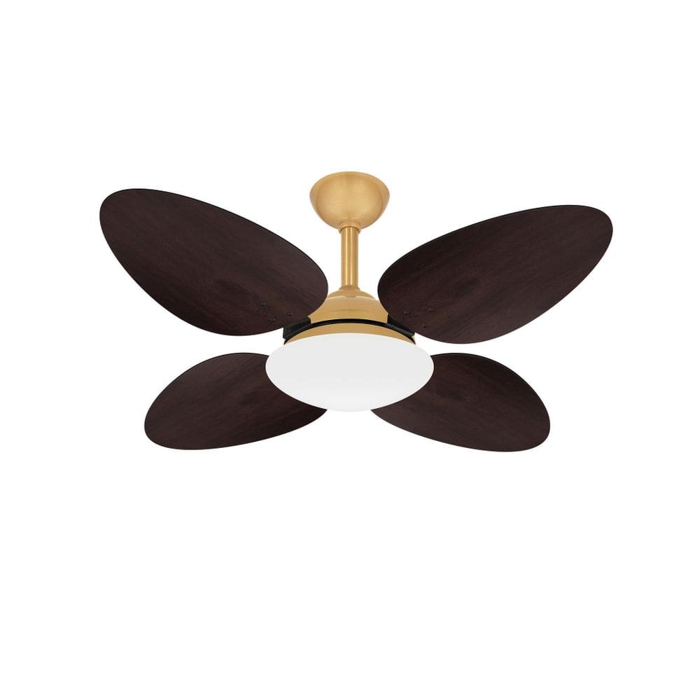 Ventilador De Teto Trevo Econômico Dourado 4 Pás Ventax 110V