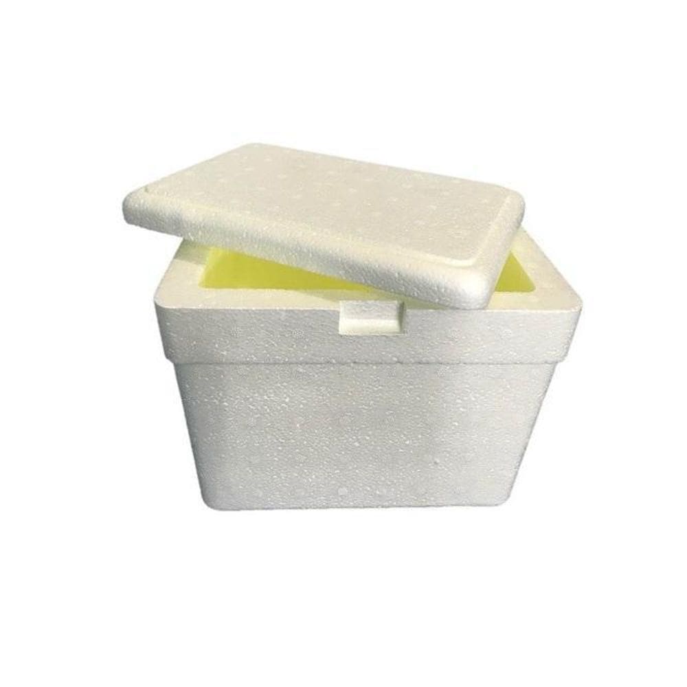 Caixa Térmica De Isopor 28 Litros Sorvete Refrigerante