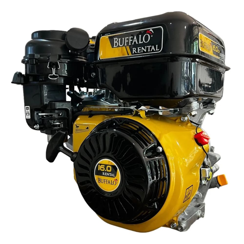 Motor BFG 16CV 4T Rental Partida Manual Buffalo