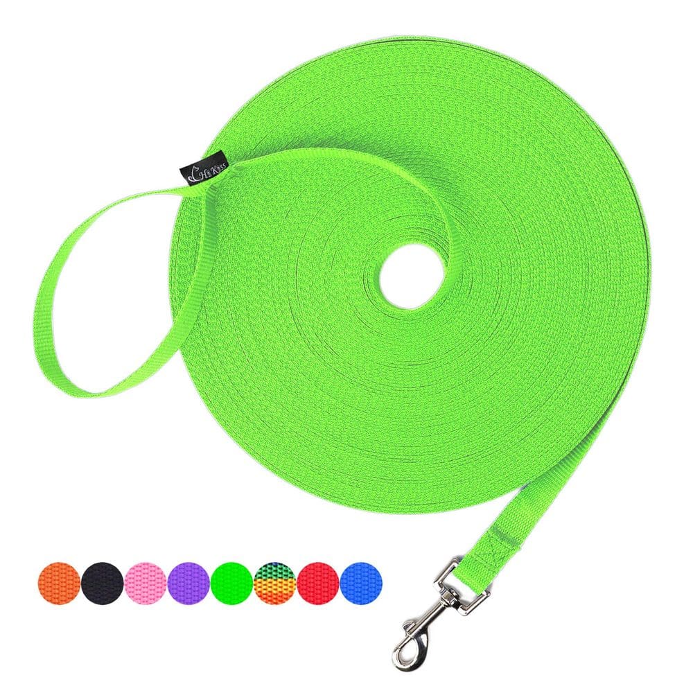 Training Leash Hi Kiss Dog Obedience Recall 30 pés de nylon verde
