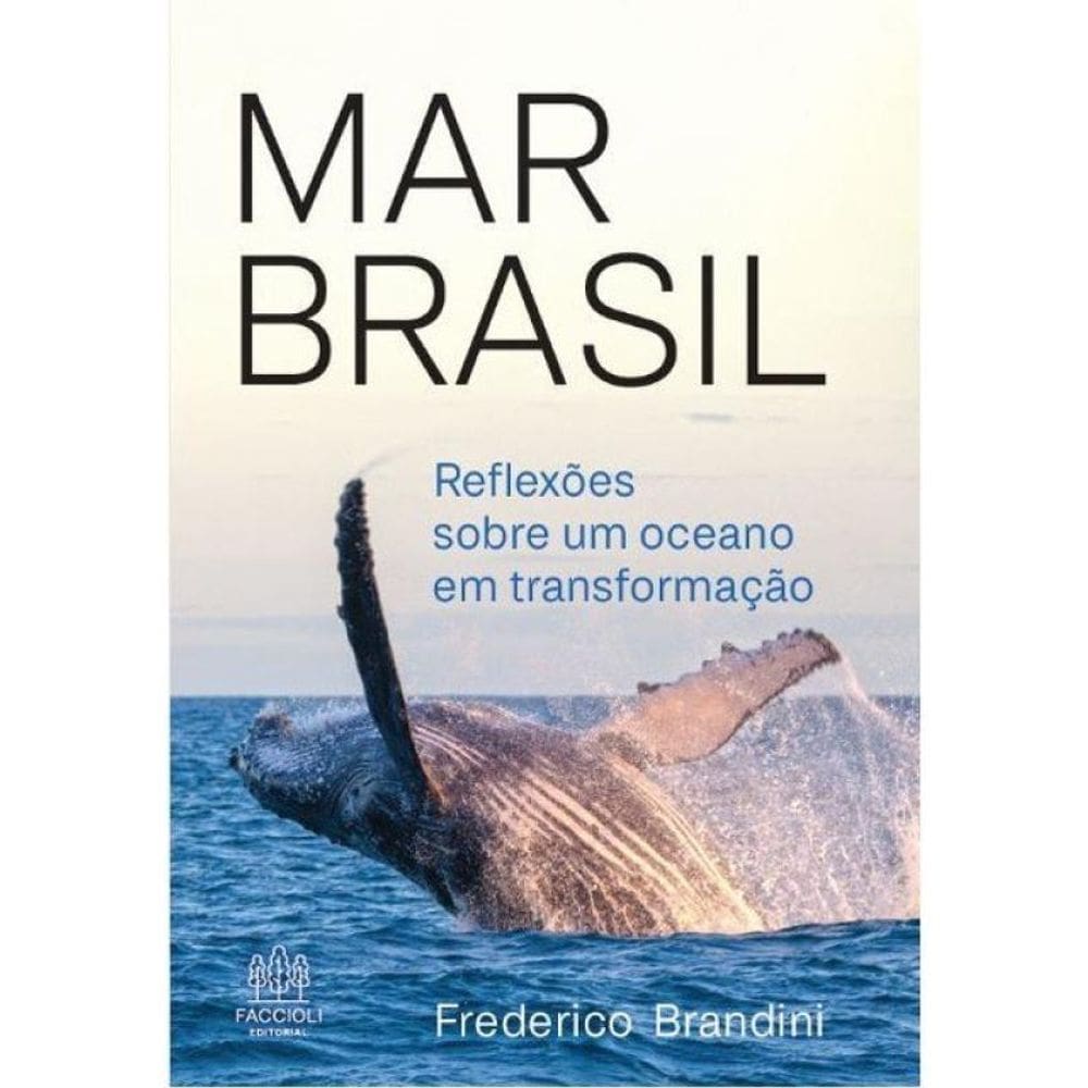 Mar Brasil