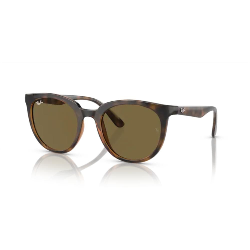 Óculos de Sol Marrom Ray-Ban