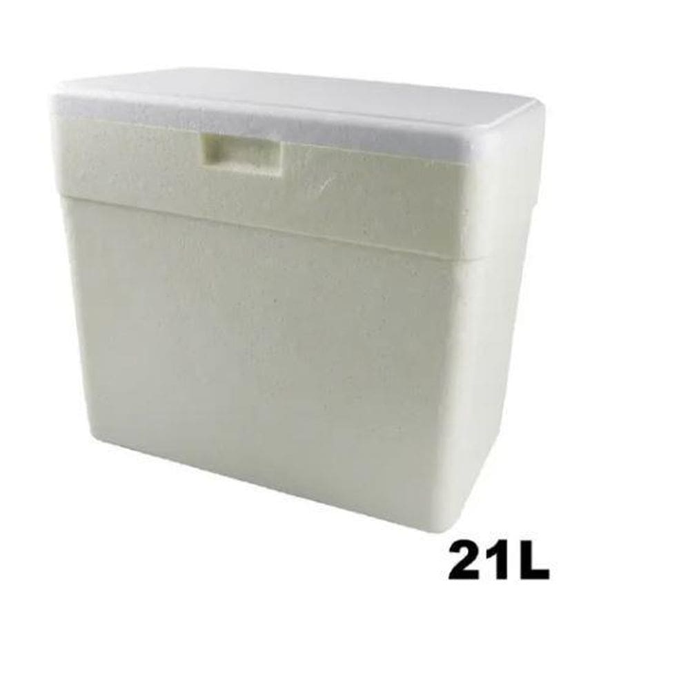 Caixa Térmica Isopor Capacidade 21 Litros Refrig Cerveja
