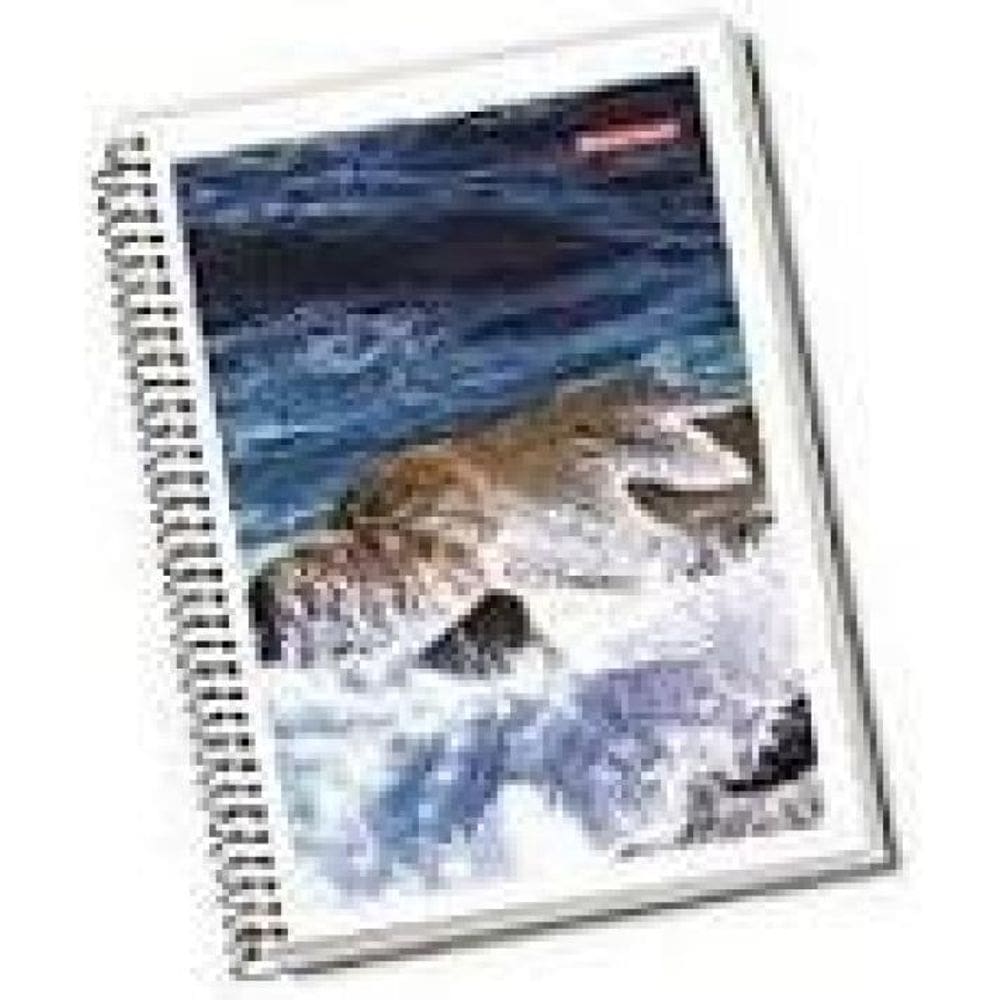 Kit 8 Caderno Espiral Capa Dura 1 Matéria 96 Folhas Estudo