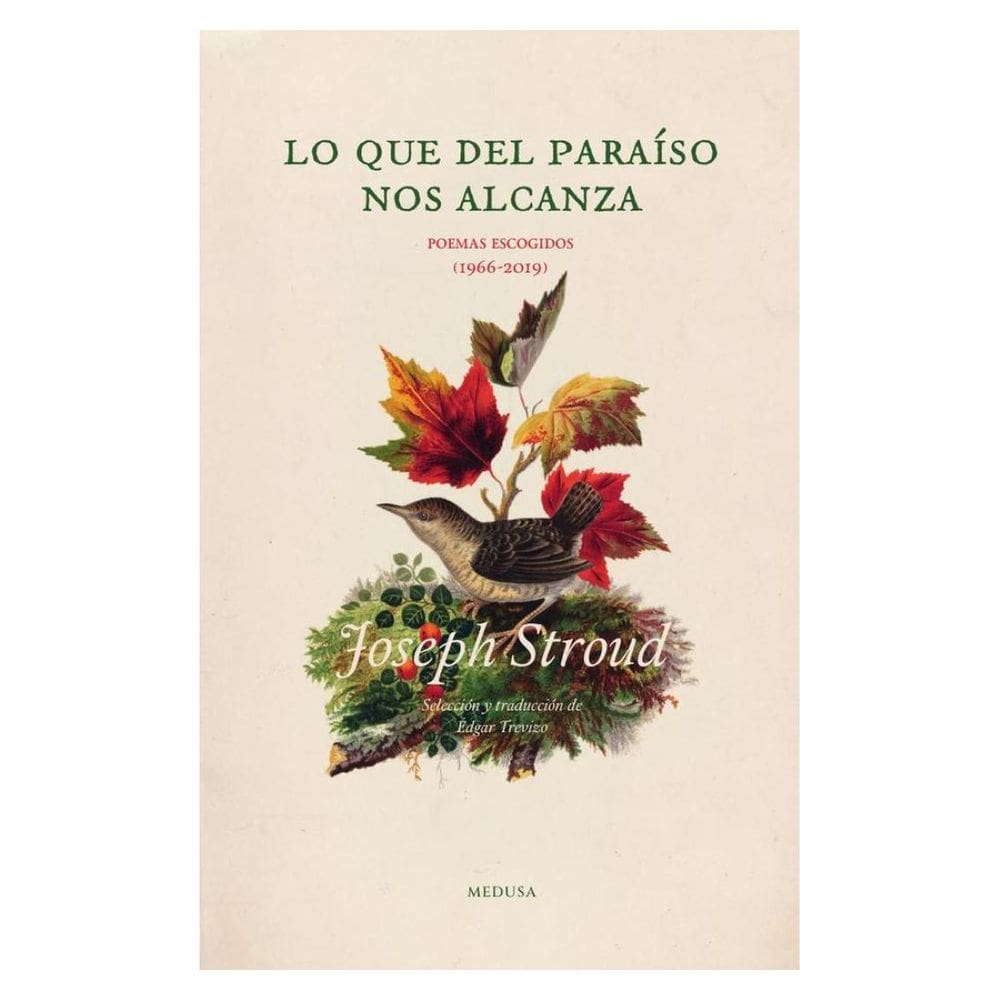 Lo que del paraíso nos alcanza - Espanhol