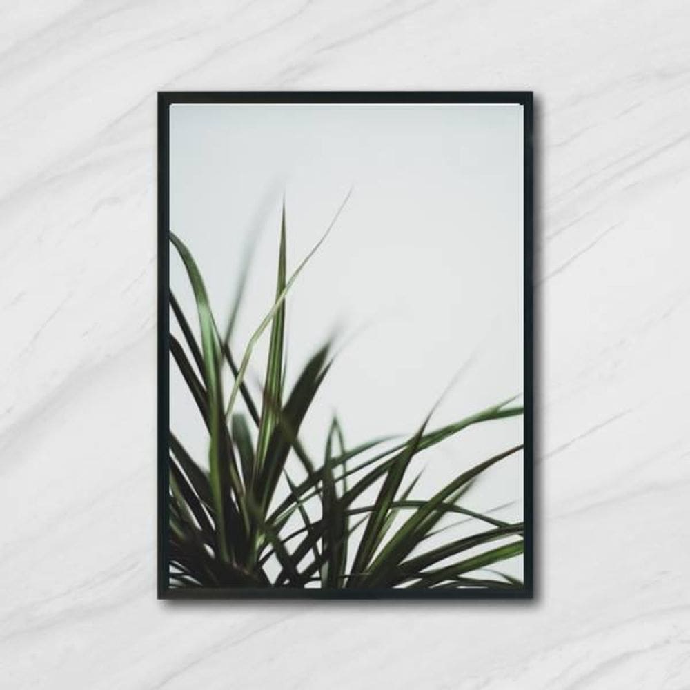 Quadro Fotografia De Capim 24X18Cm