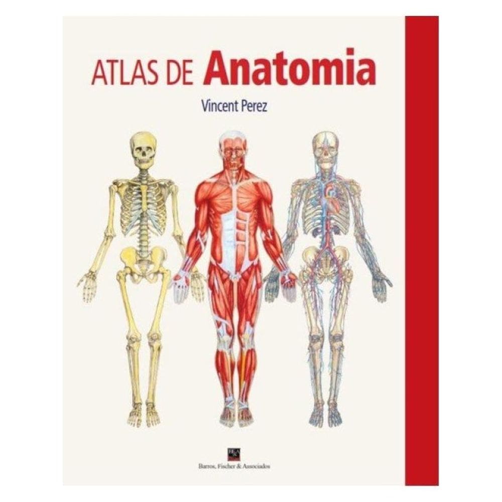 Atlas De Anatomia