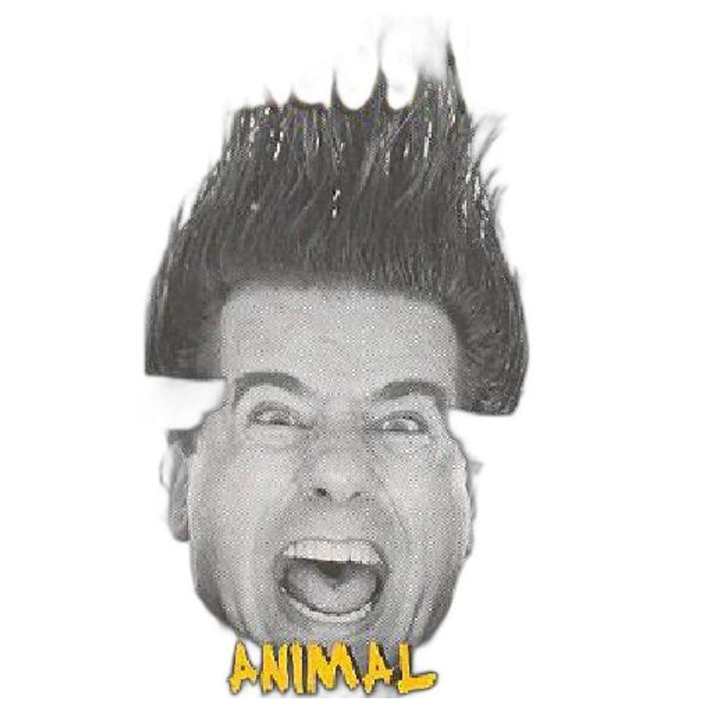 Cd Domingos Veiga - Animal