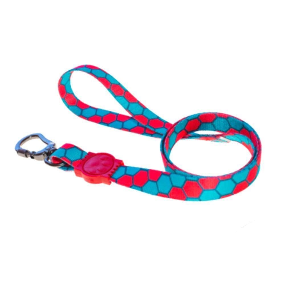 Guia Para Cães Colmeia Ampla Pet Tamanho P