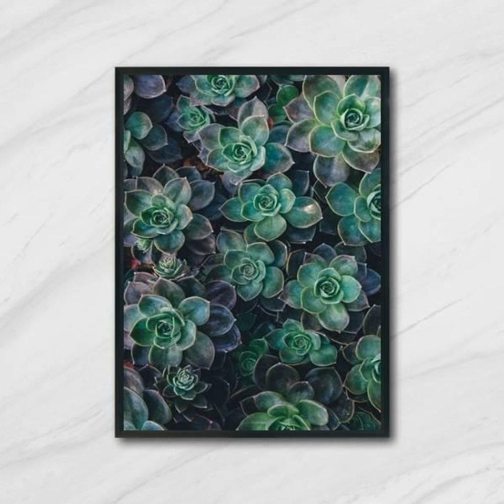 Quadro Fotografia Suculentas 24X18Cm