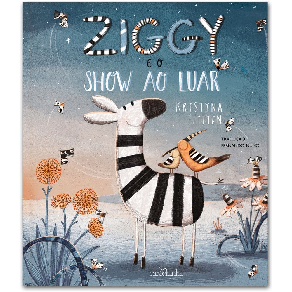 Ziggy e o show ao luar