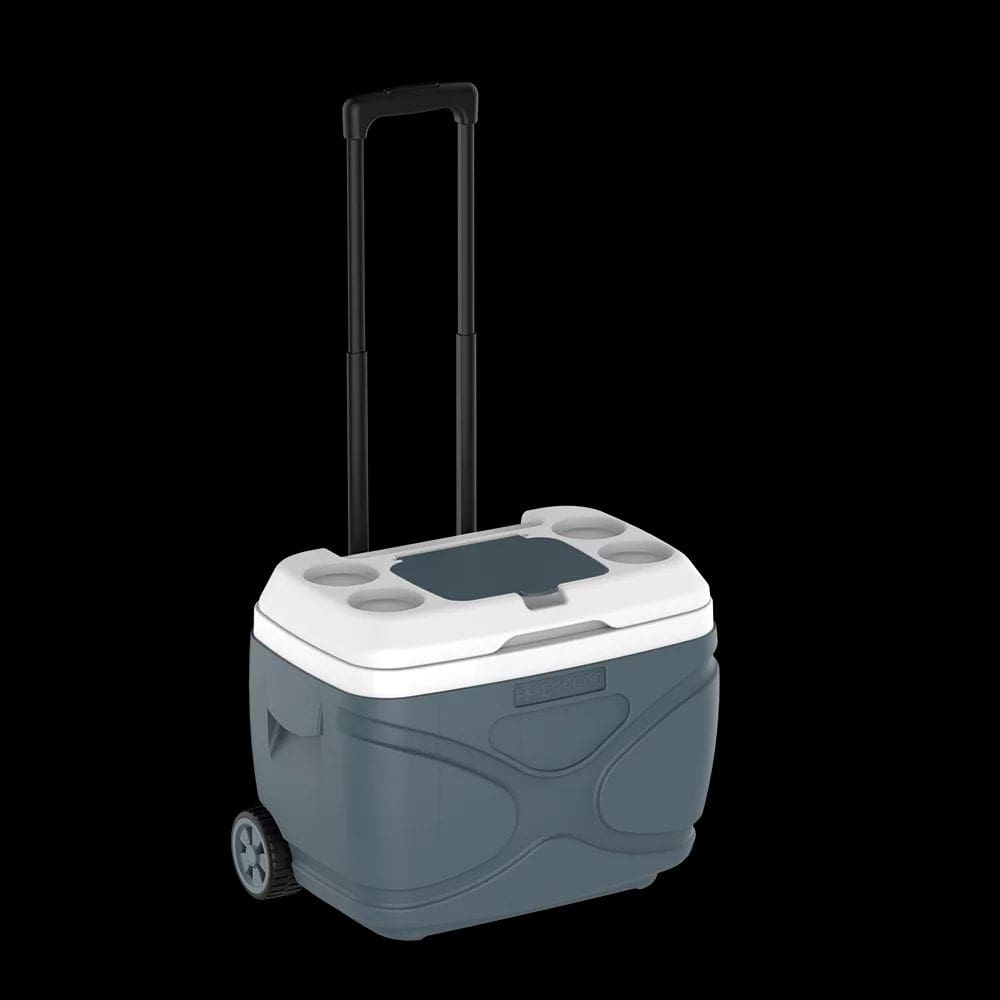 Caixa Termica Everest 30L Cinza Com Rodas  Alça Telescopica Soprano
