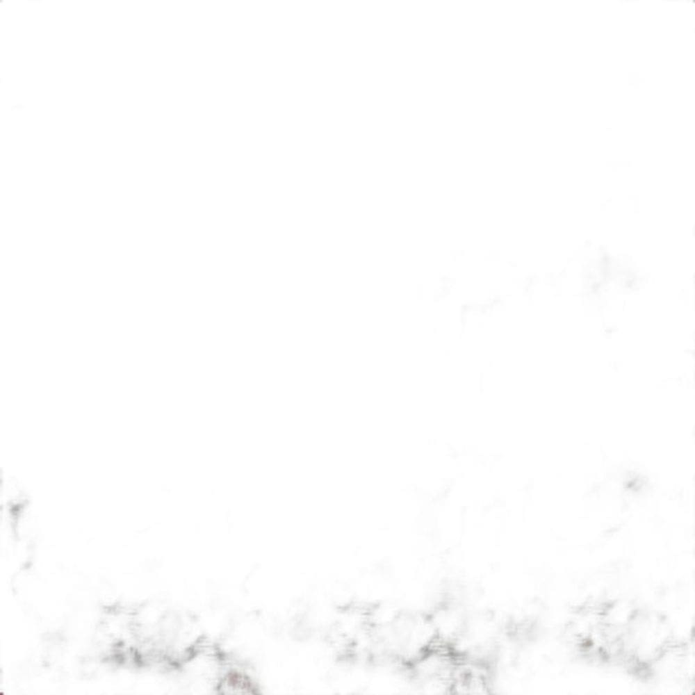 Papel De Parede Floral Rosas Vermelhas Fundo Verde Adesivo