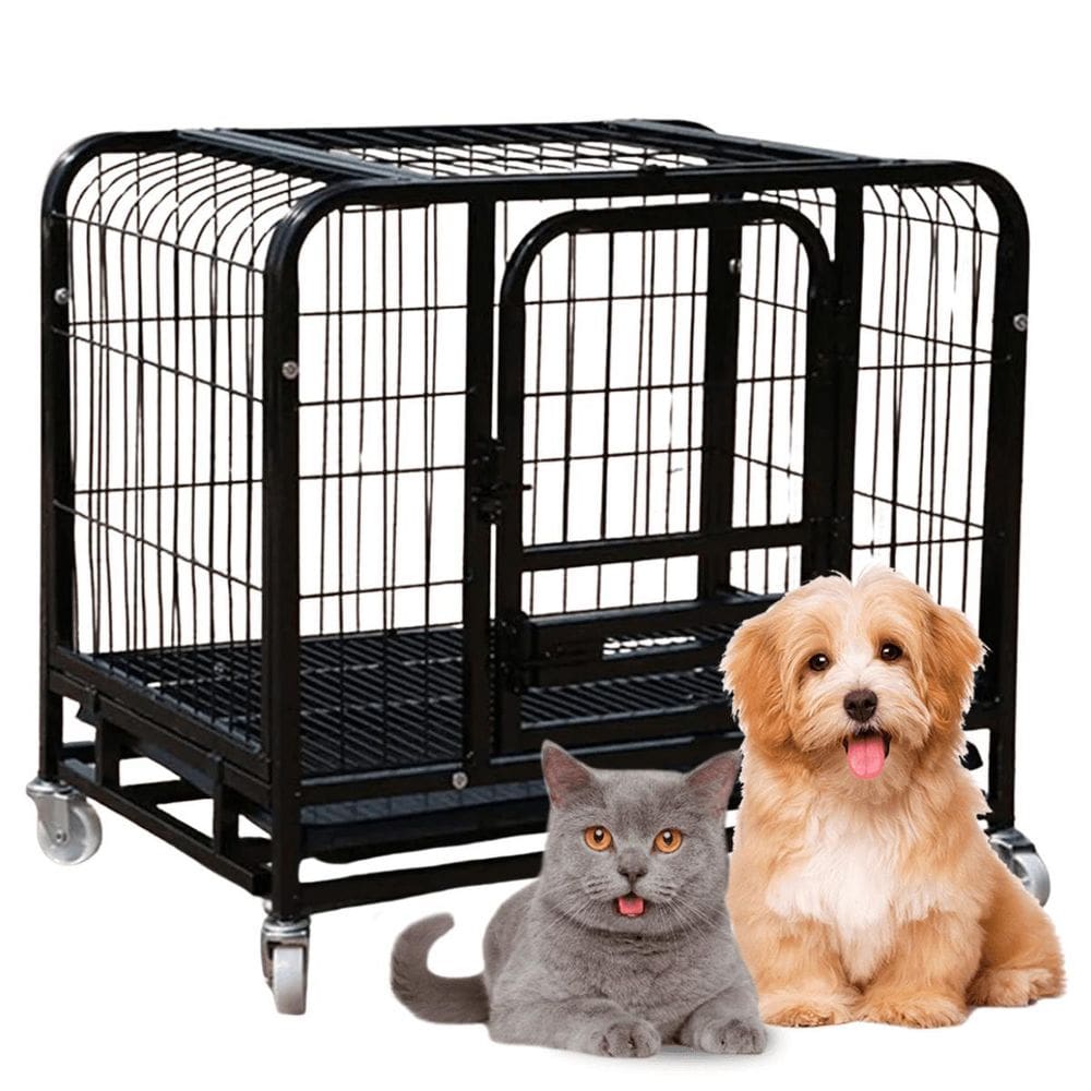 Caixa Transporte Cães Gaiola Cachorro Gato Pet Canil Pet