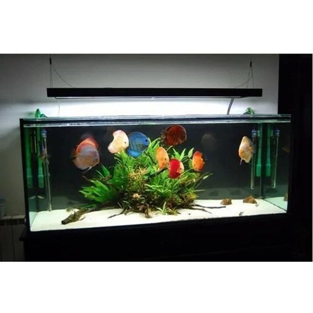 Luminária Para Aquário Fita Led Rgb 5050 2 Metros