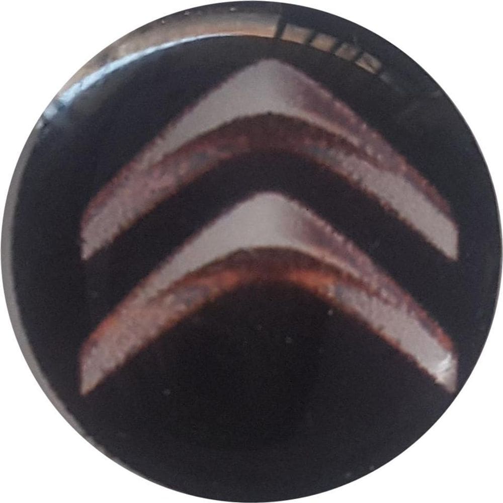 Kit 10 Adesivos Resinado Citroen