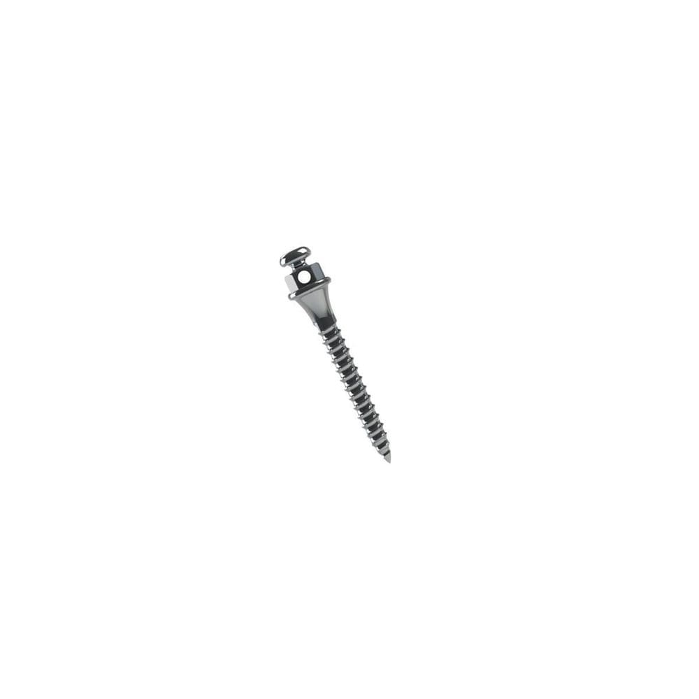 Mini Parafuso Ancoragem Absolut 10X2M 2Un 37.10.203 Morelli