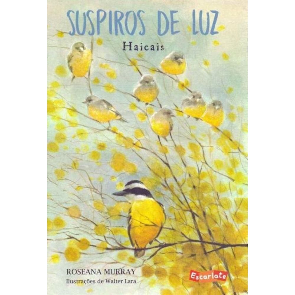Suspiros De Luz - Haicais