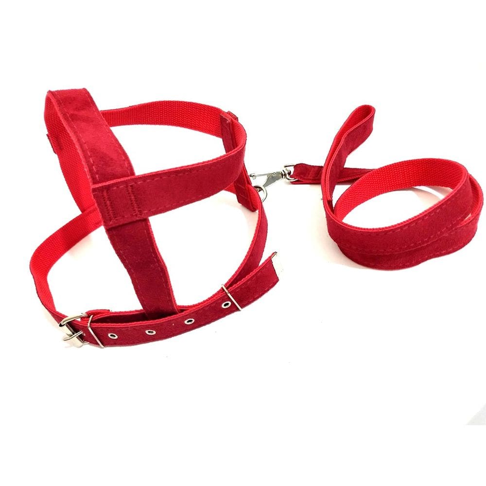 Conjunto Peitoral e Guia de Camurça 25mm Vermelho Tamanho 4