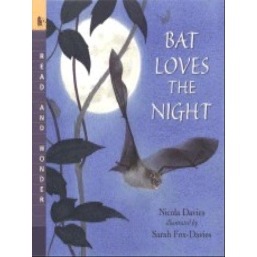 Bat Loves The Night 