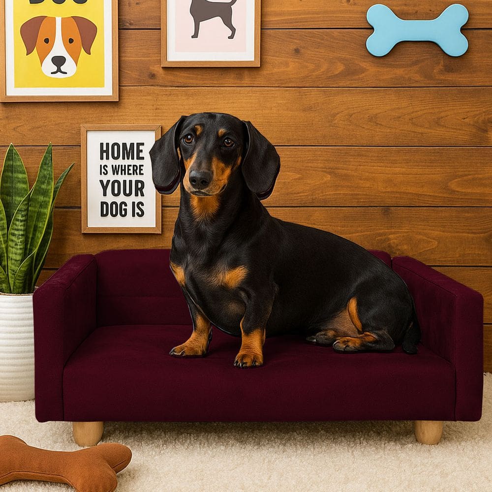 Sofazinho Cama Pet Baby Hanna Luxo Suede Bordo