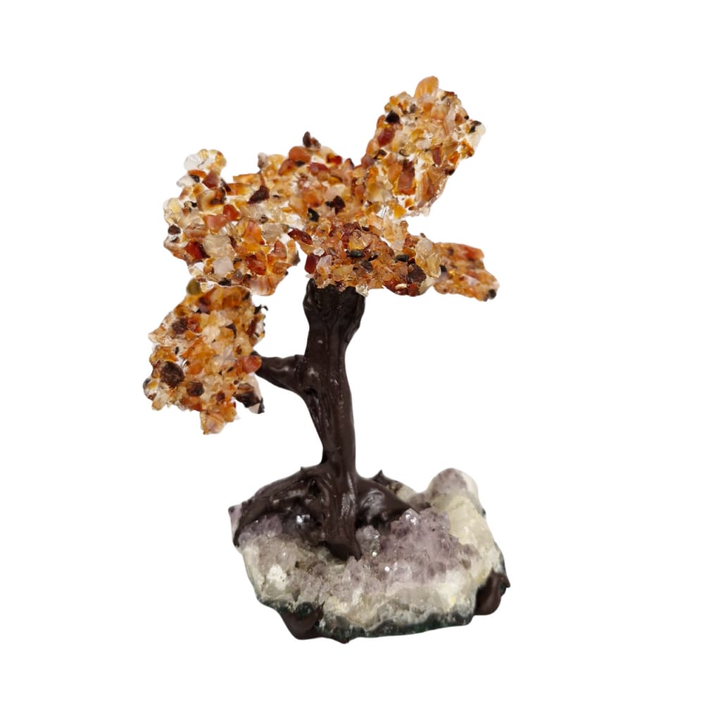 Árvore de Pedra Natural Ágata de Fogo Presente e Decoração