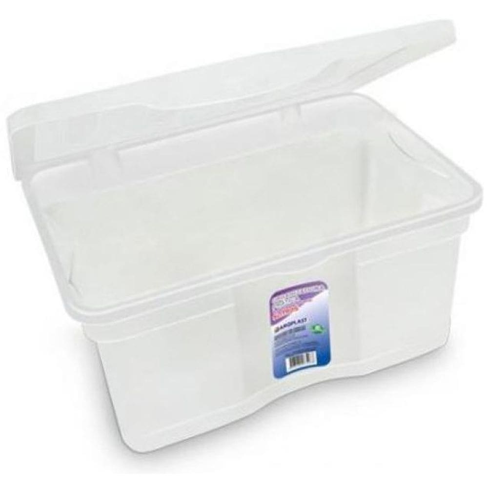 Organizadora Com Tampa 5L Transparente