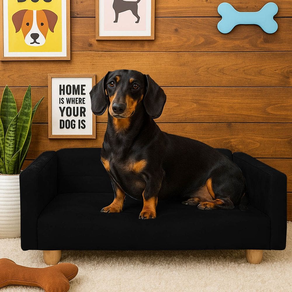 Sofazinho Cama Pet Baby Hanna Luxo Suede Preto