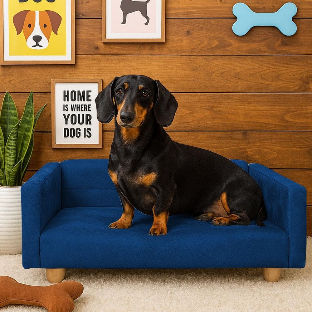 Sofazinho Cama Pet Baby Hanna Luxo Suede Marinho