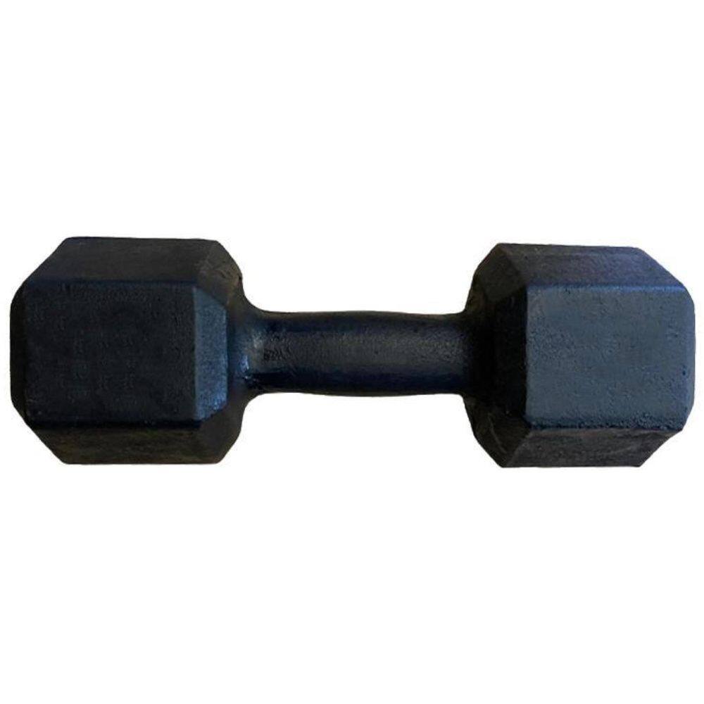 Halter Sextavado Pintado 10Kg Academia Treino Musculação