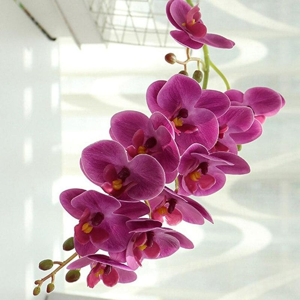 1 Haste De Orquídea Artificial Silicone 69Cm - Lilas