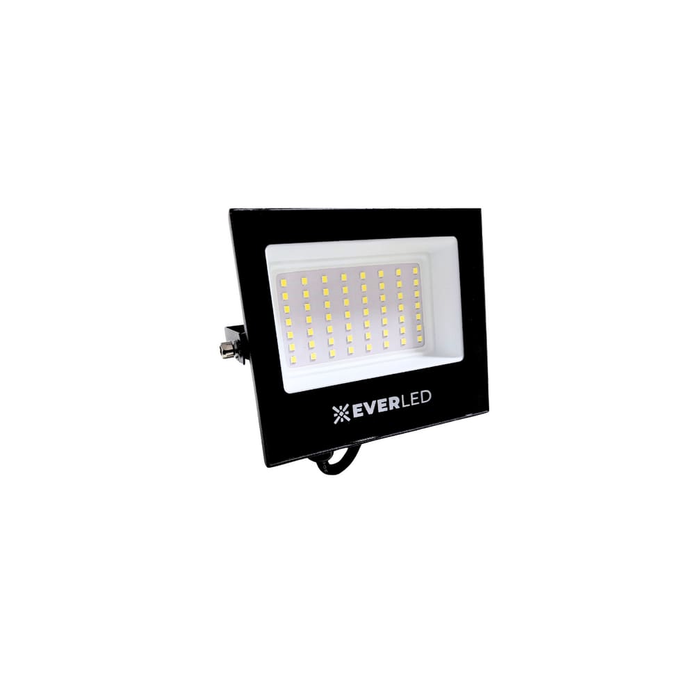 Refletor Led 100W 6500K Ip66 - Everled