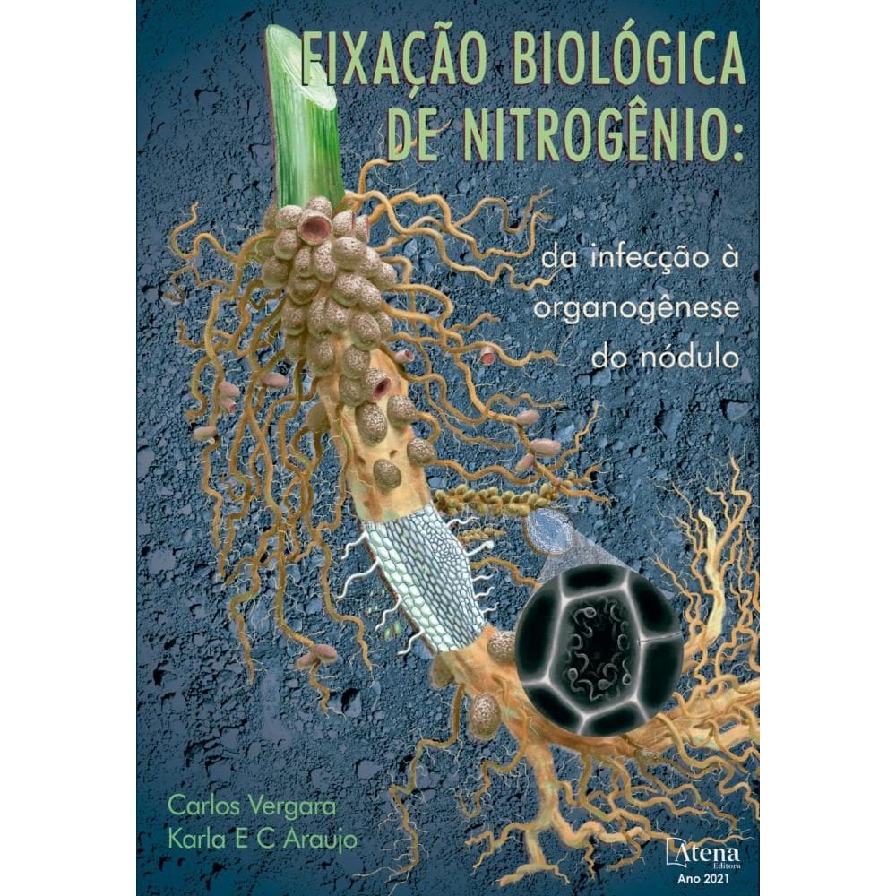 Fixação biológica de nitrogênio: da infecção à organogênese do nódulo