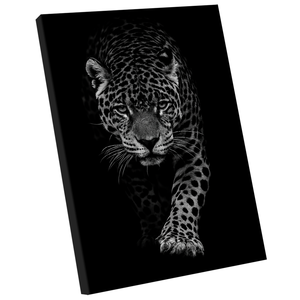 Quadro Decorativo Onça no Preto