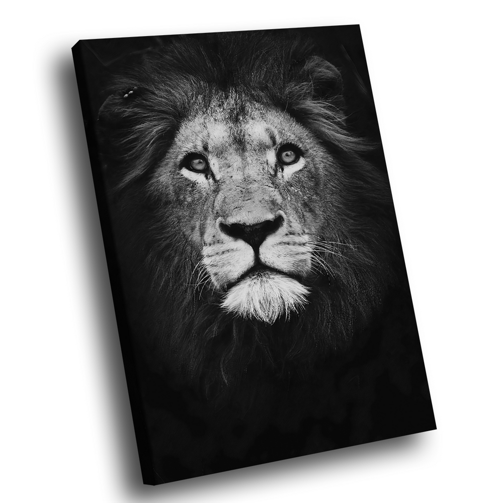 Quadro Decorativo Leão no Preto