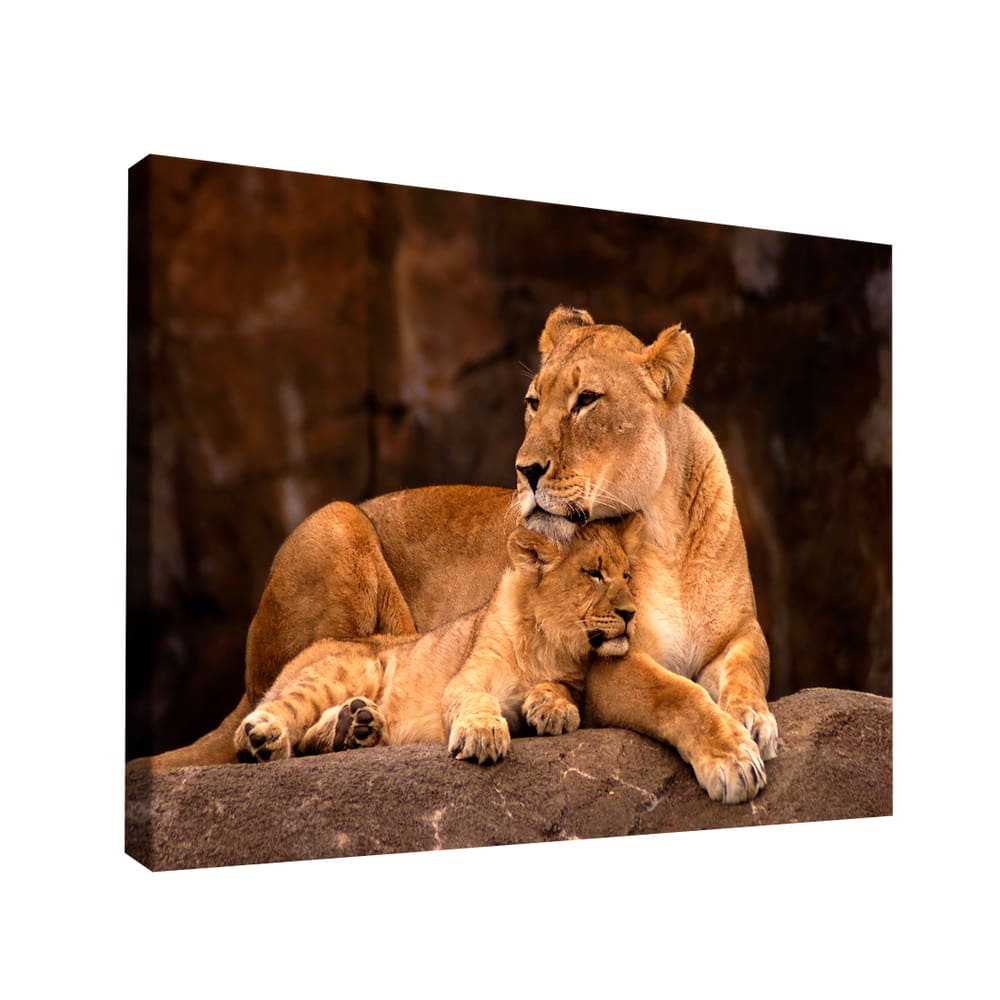 Quadro Leoa e Filhote