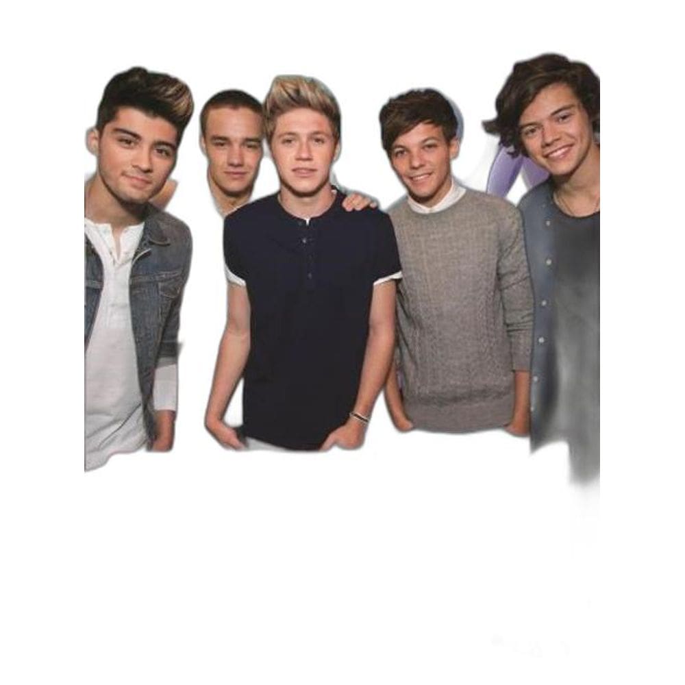 Livro Existe Apenas One Direction