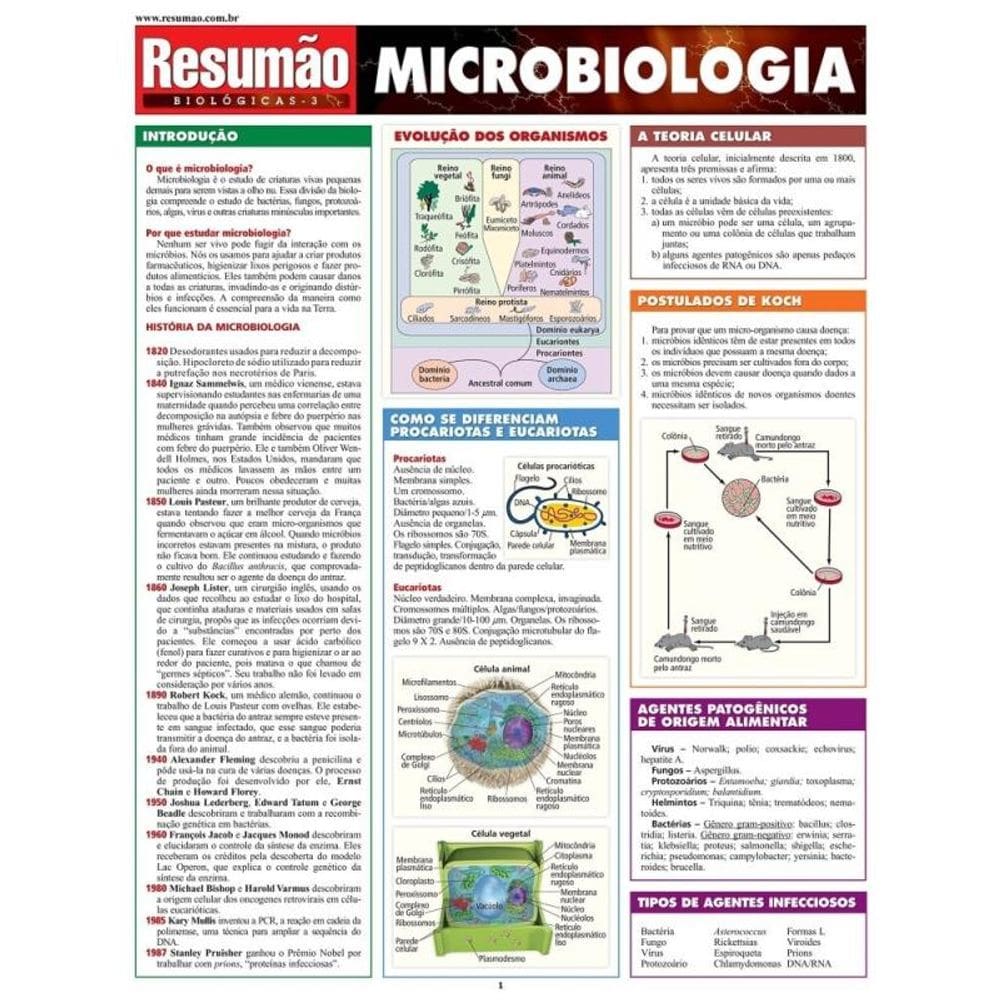 Microbiologia                                   01