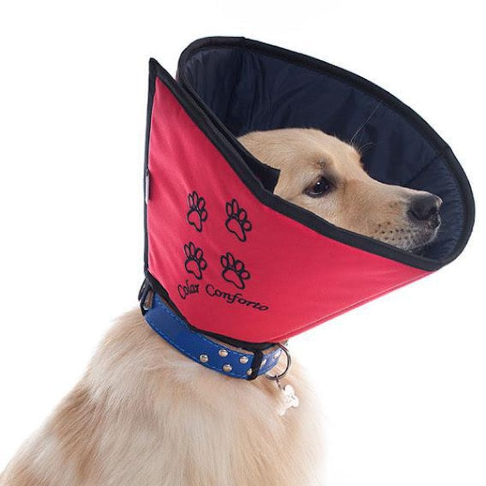 Colar Conforto Pet Med N° 6