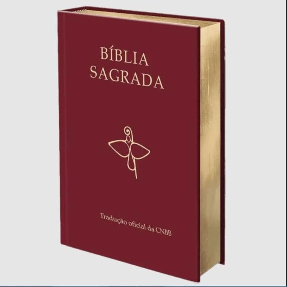Bíblia Sagrada - Tradução oficial da CNBB - 6ª edição - Semiluxo
