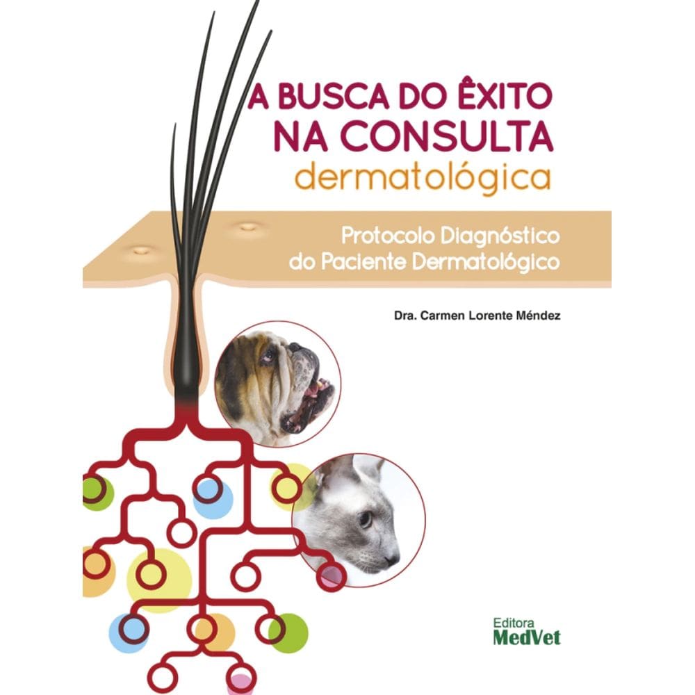 A Busca Do Êxito Na Consulta Dermatológica