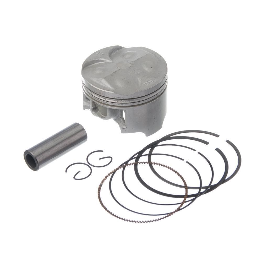 Pistão Kit Com Anel  Rik Premium Cb600  Standart