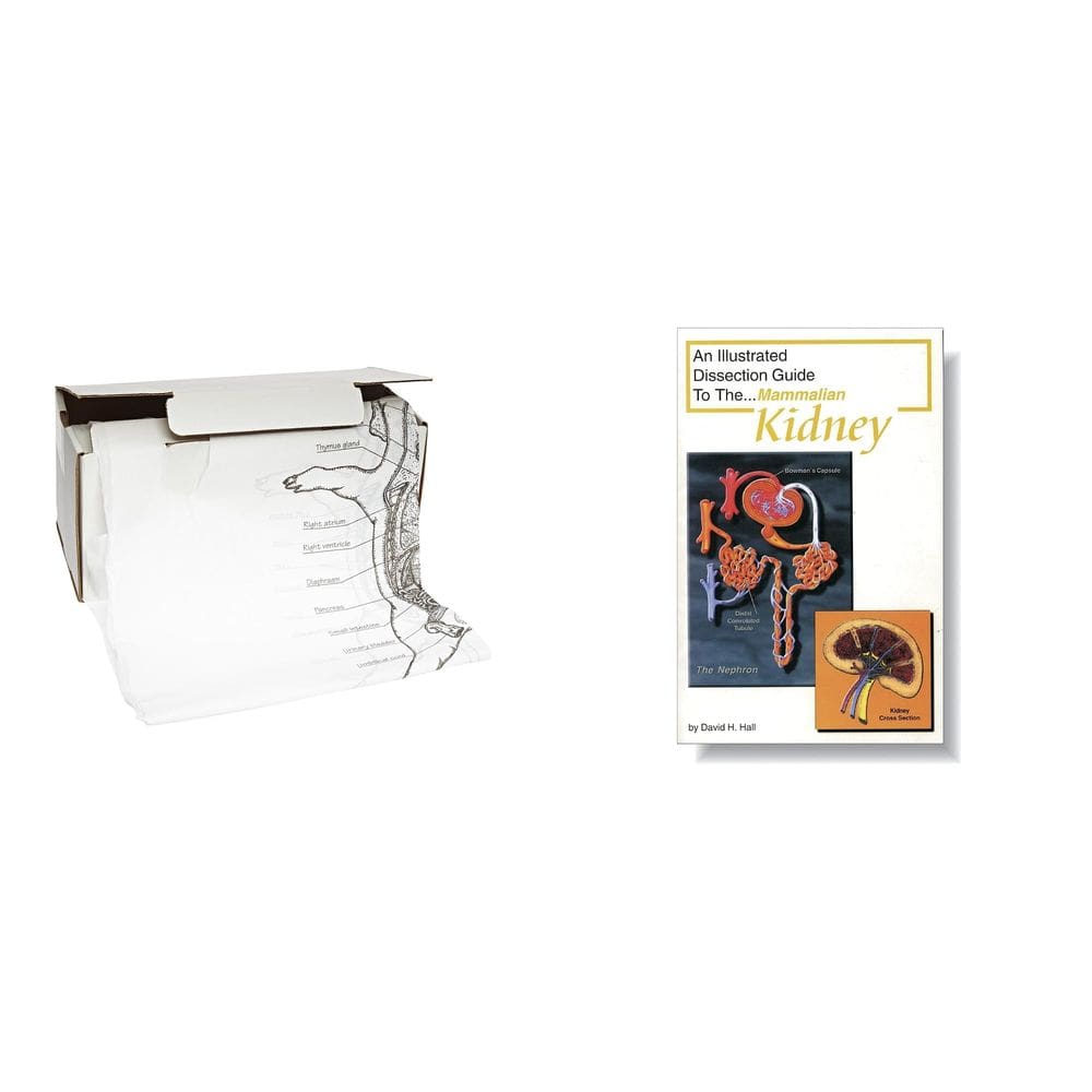 Kit combinado de aventais de anatomia Casafoyer com ilustração de porco