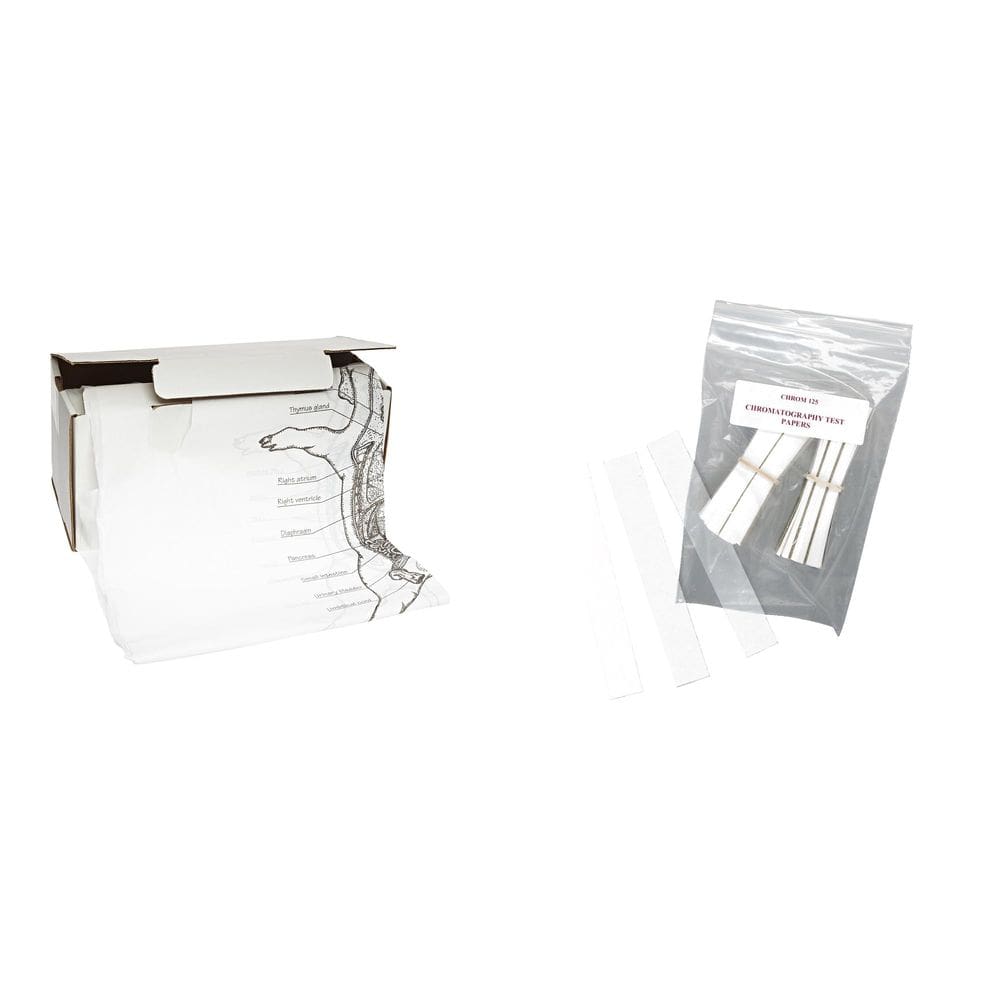 Kit combinado de aventais de anatomia e papel cromatográfico Casafoyer