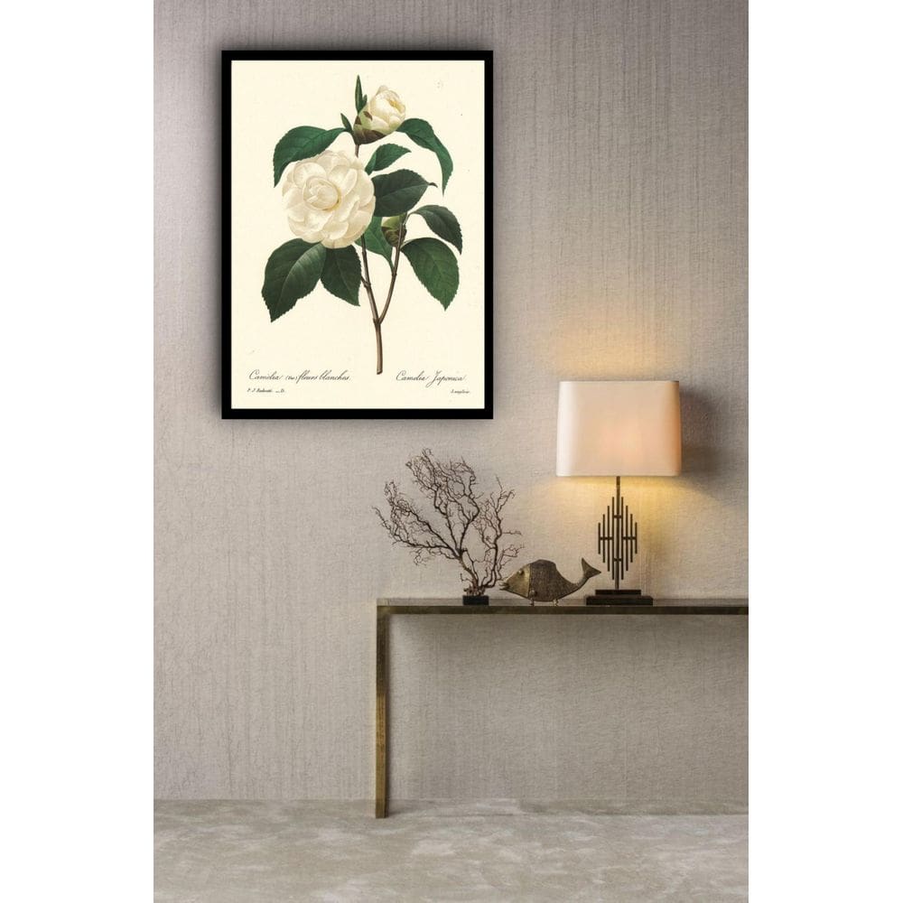 Quadro Decorativo Botânica Flor Camélia - 70X50Cm