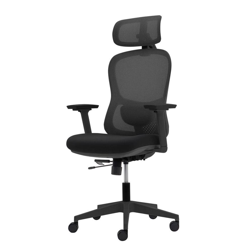 Cadeira Ergonômica Nr 17 Presidente Prime Preta Encosto Mesh