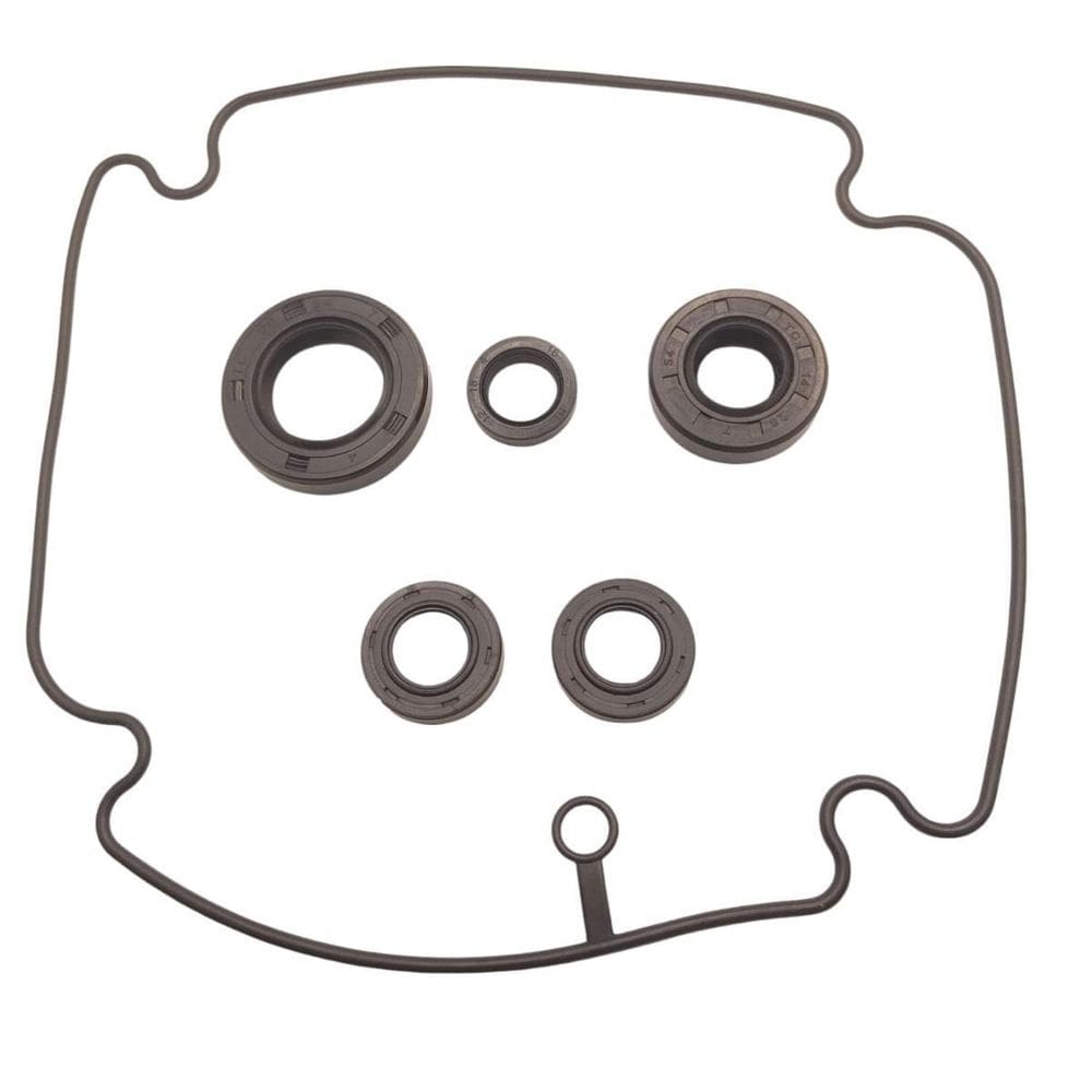 Kit Manutenção Cg Titan Fan 160 Retentores + Guarnição