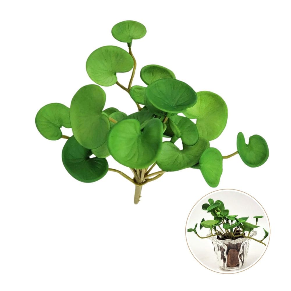 Suculenta Peperomia Verde 13Cm Folhagem Artificial