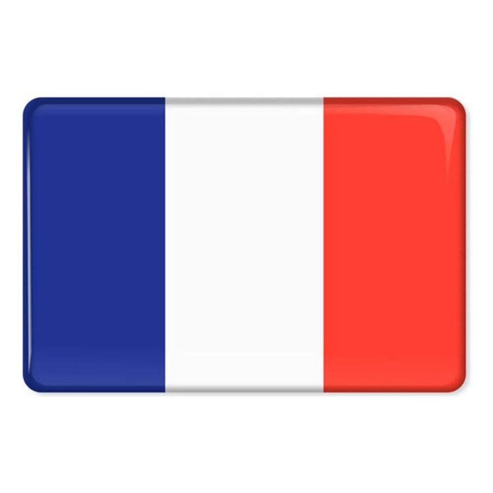 Emblema Resinado Citroen Bandeira França Res7